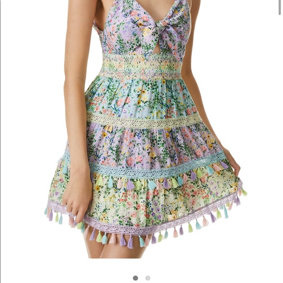 Alice and Olivia Karolina cut out mini dress - Picture 1 of 5